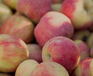 Fall for Fruit