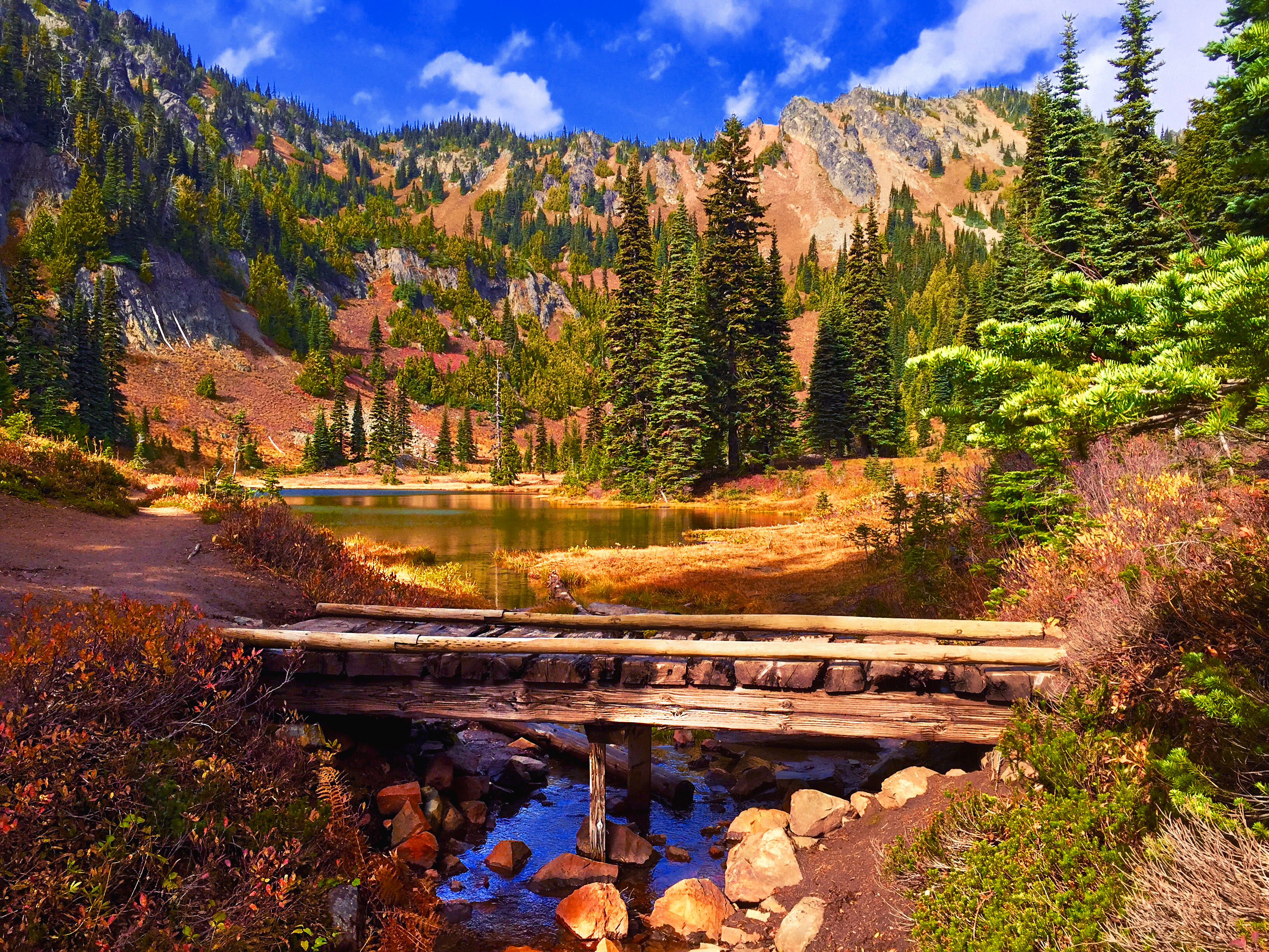 Chris Goodner Bridge - Rainier Fruit