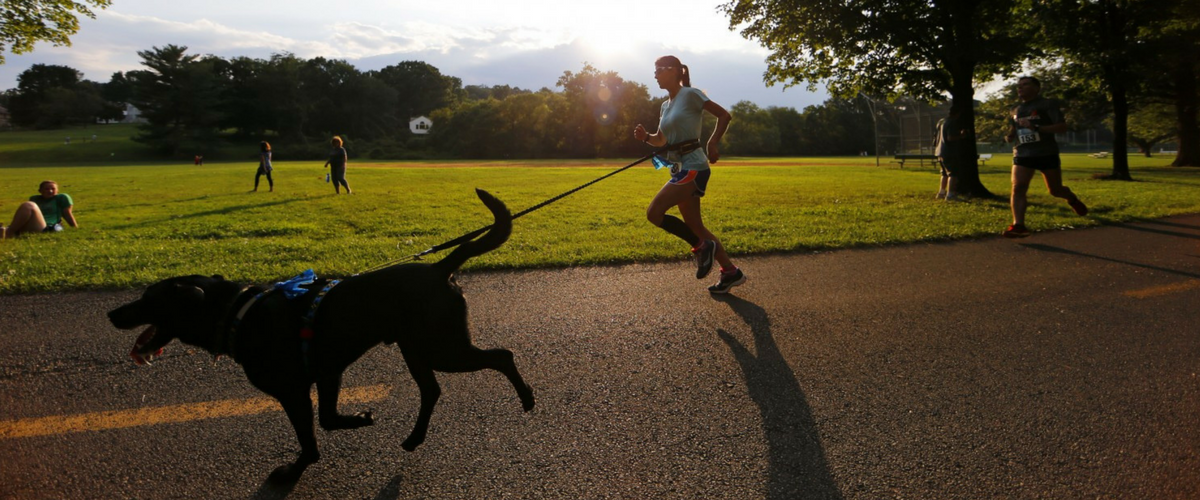 Dogs; A Man’s Best Friend & Running Partner Rainier Fruit Company