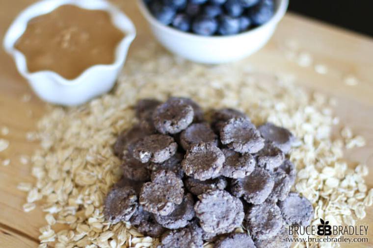 oatmeal peanut butter and jelly thumbprint dog treats v3 - Rainier Fruit