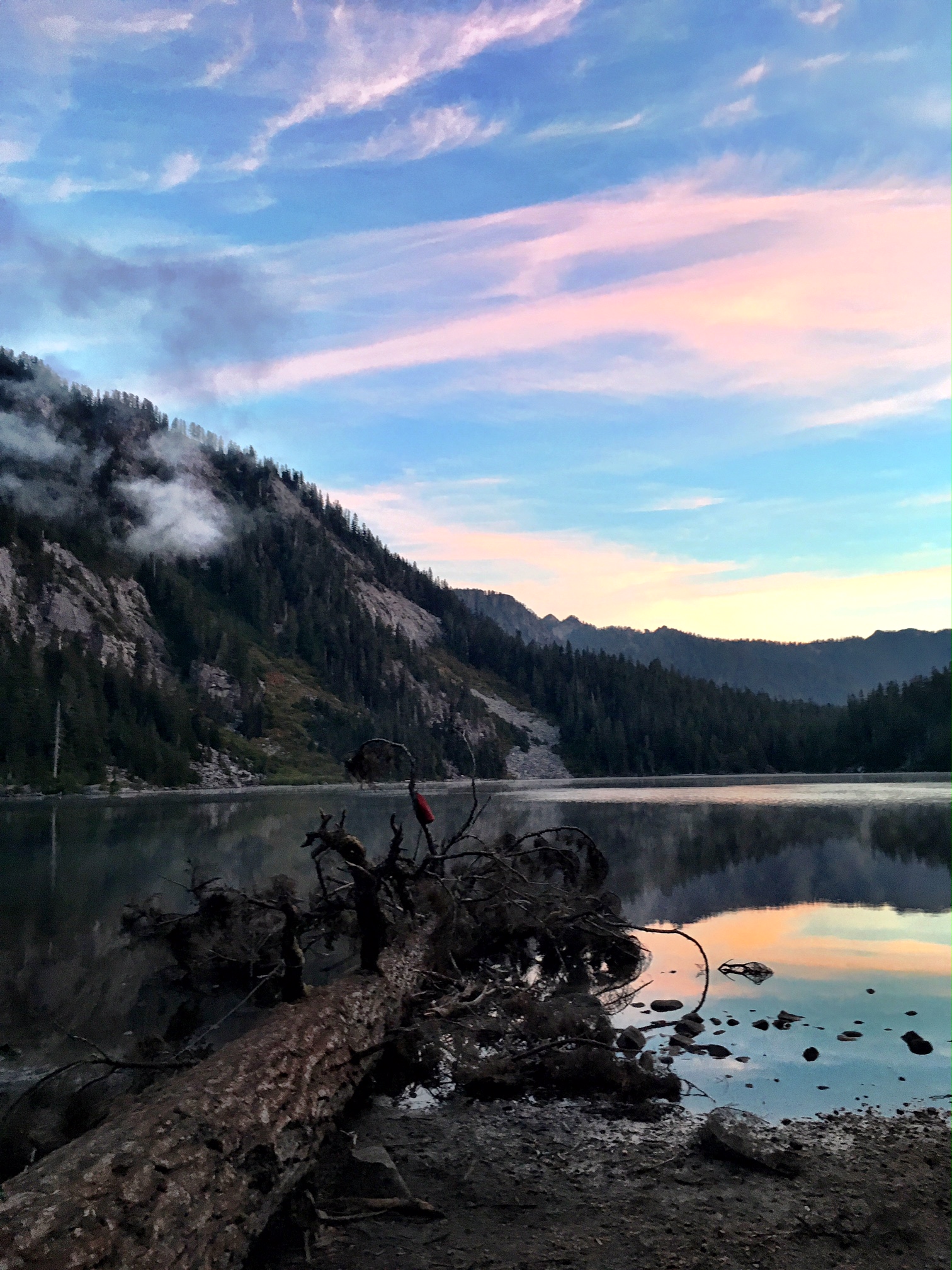 Backpacking 2 - Rainier Fruit