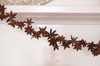 Star Anise Garland - Rainier Fruit