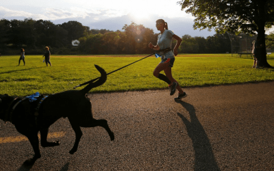 Dogs; A Man’s Best Friend & Running Partner
