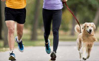 Safety Tips for Running With Your Dog