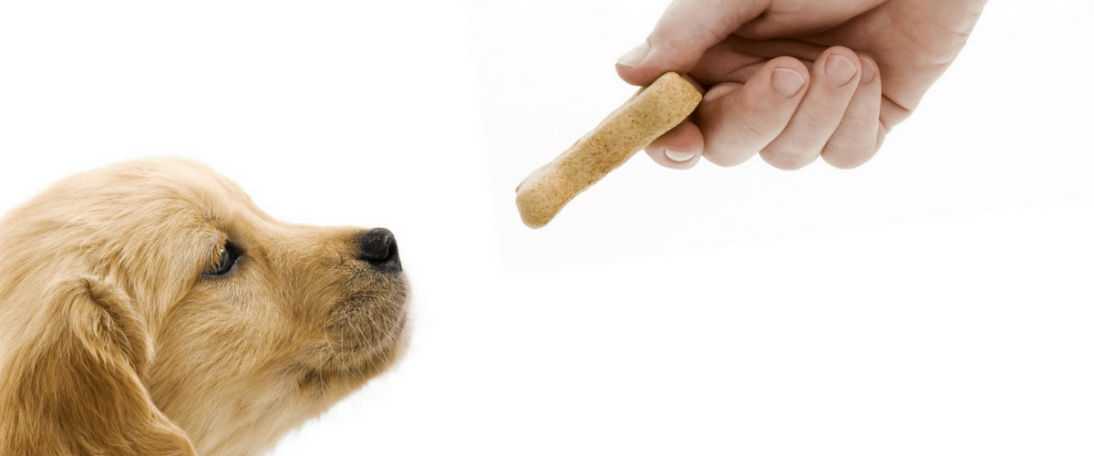 Top 10 Treats For Dogs Featuring Apples, Pears And Blueberries Rainier Fruit