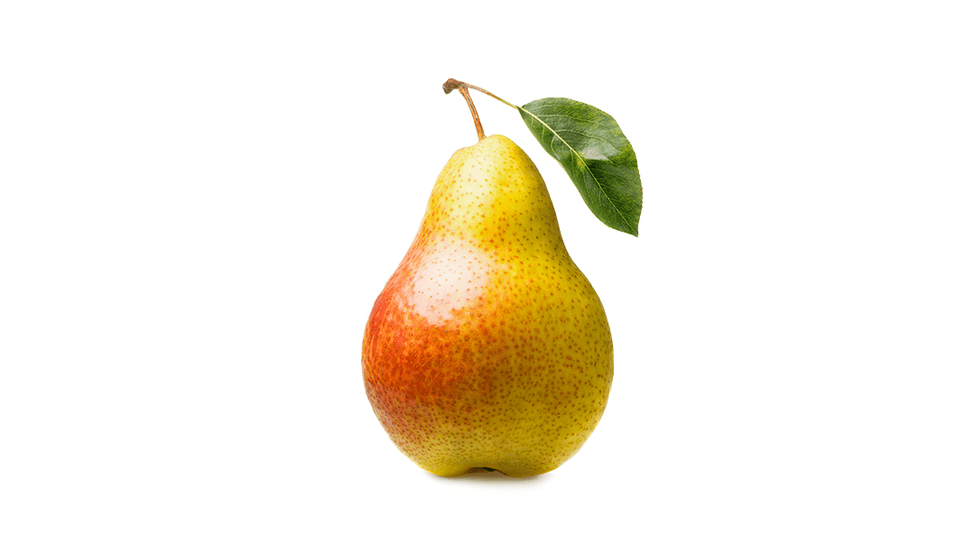 Rainier Fruit Pears - Rainier Fruit