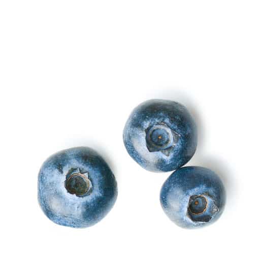 Rainier Blueberries - Rainier Fruit