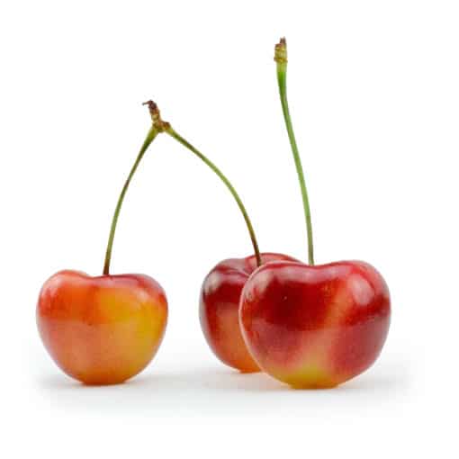 Rainier Cherries - Rainier Fruit