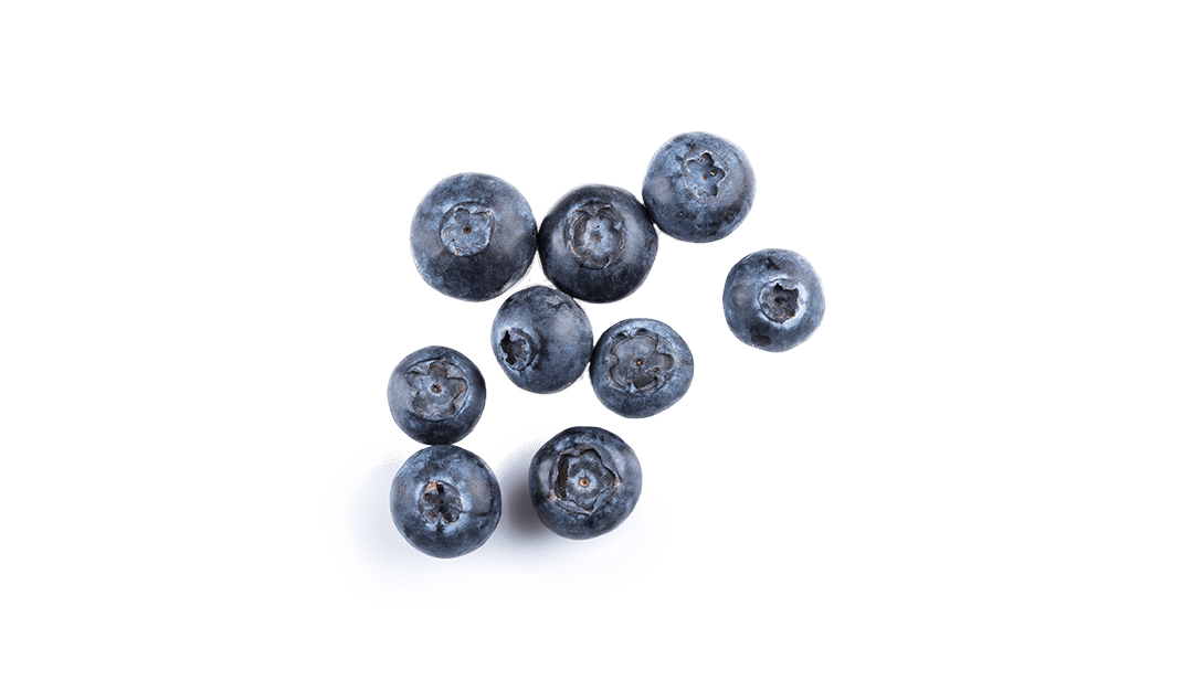 Rainier Fruit Blueberries 1 - Rainier Fruit